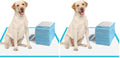 IMMCUTE Large Dog Pee Pads 28"x30"-50 Count | Large Puppy Pee Training Pads Super Absorbent & Leak-Proof | Disposable Pet Piddle and Potty Pads for Puppies | Dogs | Doggie