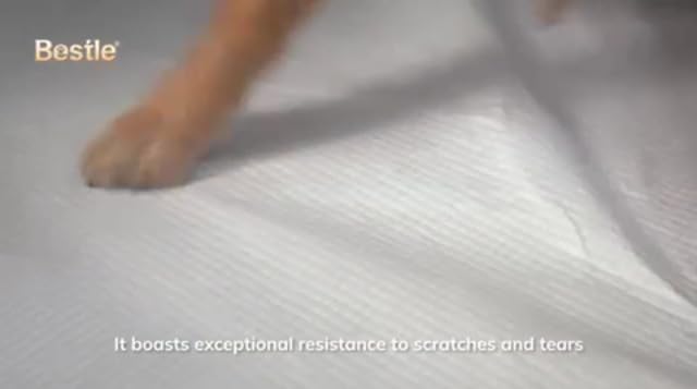 BESTLE Large Pet Training and Puppy Pads Pee Pad for Dogs 24"x24"-80 Count Super Absorbent & Leak-Proof