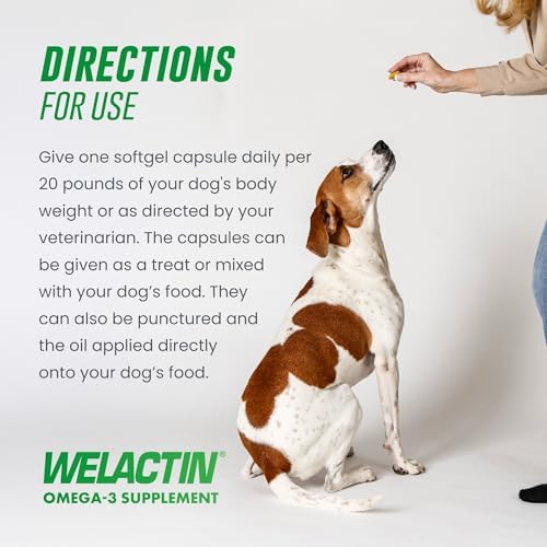 Nutramax Welactin Canine Softgels, Omega 3 Supplement for Dogs, Softgels, 120 Count (Pack of 3)
