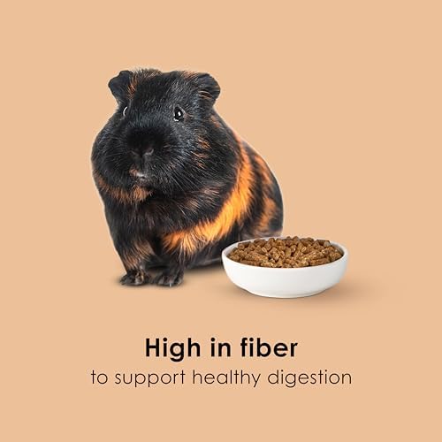 Kaytee Timothy Complete Guinea Pig Food with Timothy Hay, 25 Pounds