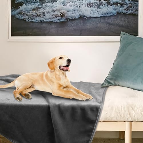 Onarway Dog Blanket Washable for Puppy: 4 Packs Dog Blankets 40”x28”