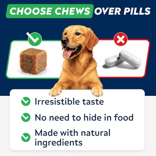 Dog Allergy & Itching Relief - Anti Itch, Skin&Coat Support Chews w/Omega 3 | Made in USA - Immune Supplements, Treats for Dogs Health w/Fish Oil for Irritated & Dry skin - Developed by Experts, 60 Ct