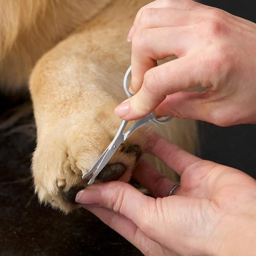 Tweezerman Pet Grooming Scissors-Rounded Tip Trimming Scissor for Dogs/Cats