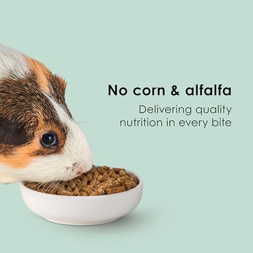 Kaytee Timothy Complete Guinea Pig Food with Timothy Hay, 25 Pounds
