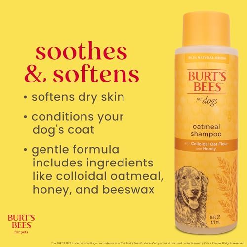 Burts Bees for Pets Oatmeal Dog Shampoo with Honey, Unscented, 16 Fl Oz | Soothing colloidal oat flour formula for itchy, sensitive dog skin, pH-balanced and sulfate-free for regular use