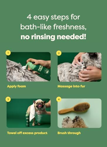Earth Rated Waterless Shampoo & Conditioner, White Tea & Basil, 7 oz