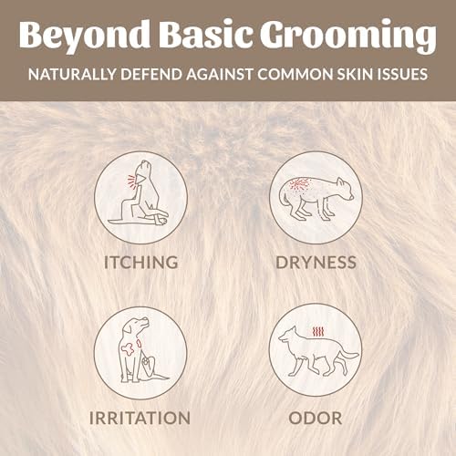 SKOUT'S HONOR Probiotic Dog Shampoo and Conditioner - DOTW, 16 oz