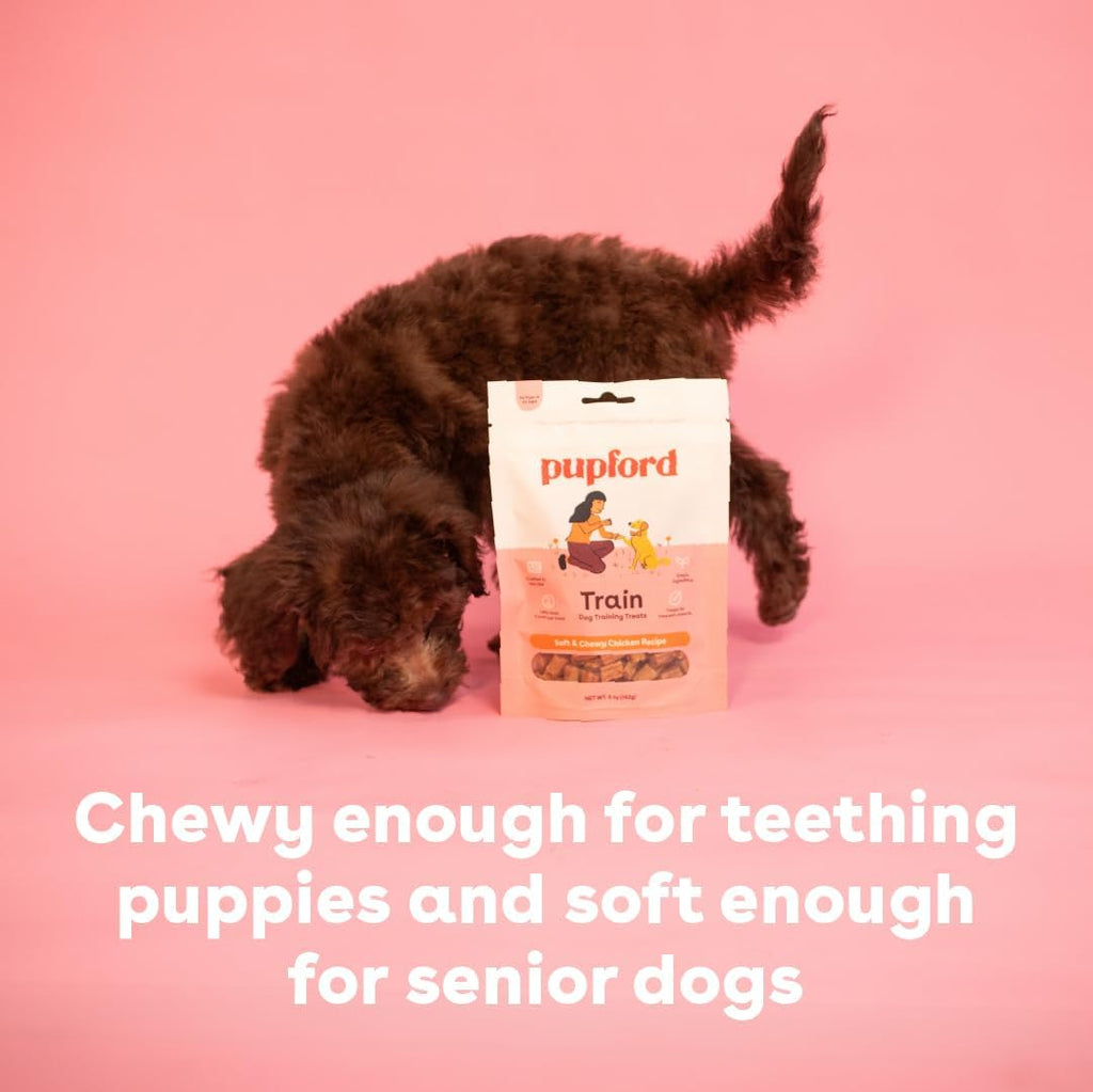 Pupford Soft & Chewy Training Treats for Dogs & Puppies (Chicken, 5 oz) | 250+ treats per bag, <2 kcals each, Only 7 ingredients, All breed sizes, Mess free and bite sized, Trainer recommended