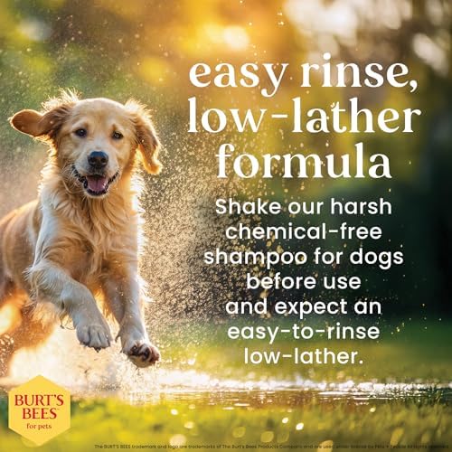 Burts Bees for Pets Oatmeal Dog Shampoo with Honey, Unscented, 16 Fl Oz | Soothing colloidal oat flour formula for itchy, sensitive dog skin, pH-balanced and sulfate-free for regular use