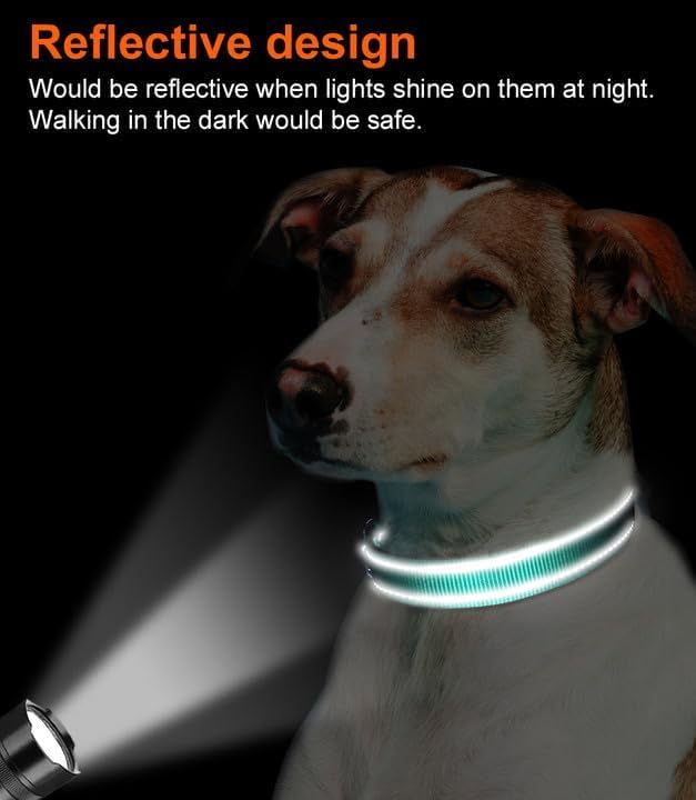 Joytale Reflective Dog Collar, Adjustable Neoprene Padded, Teal L