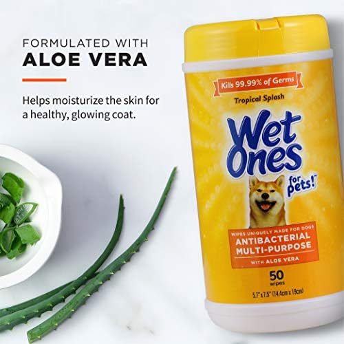 Wet Ones for Pets Antibacterial Dog Wipes, Tropical Splash, 50 Count