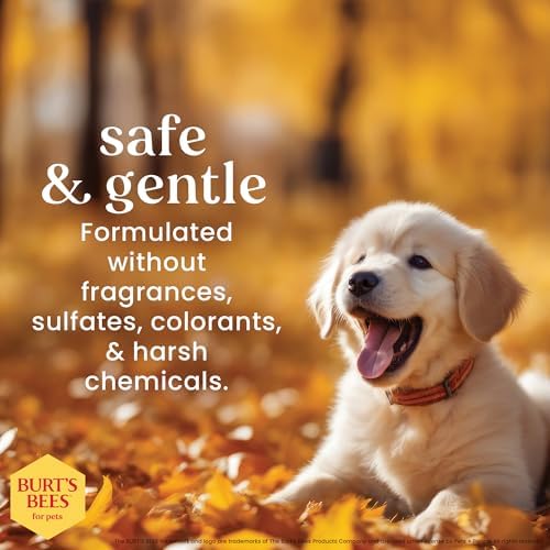 Burts Bees Tearless Puppy Shampoo & Conditioner with Buttermilk, 16 Fl Oz | Gentle 2-in-1 formula cleans and conditions sensitive puppy skin and coat, tearless for easy bath time