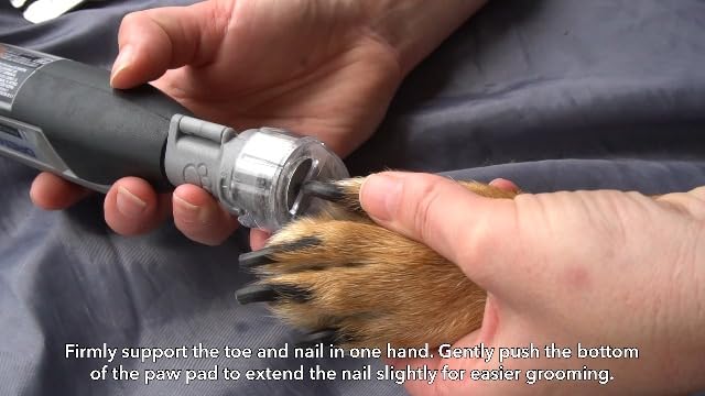 Dremel PawControl 7760-PET Dog Nail Grinder and Trimmer - Cordless & Rechargeable Pet Grooming Tool Kit - Safe for Dogs, Cats, and Small Animals (Amazon Exclusive)