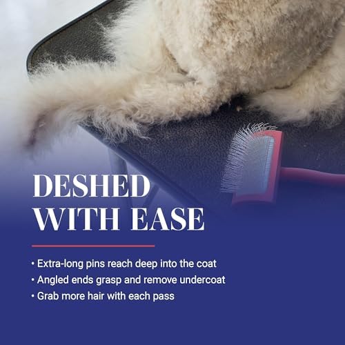 Chris Christensen Big G Dog Slicker Brush for Dogs (Goldendoodles, Labradoodles, Poodles), Groom Like a Professional, Fluff Detangle Style, Saves Time Energy, Coral, Large