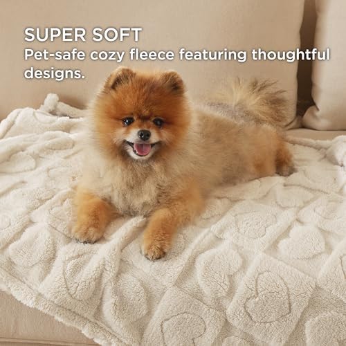 Bedsure Dog Blanket for Small Dogs Puppy and Cats, Soft Fleece, 25x35 inch