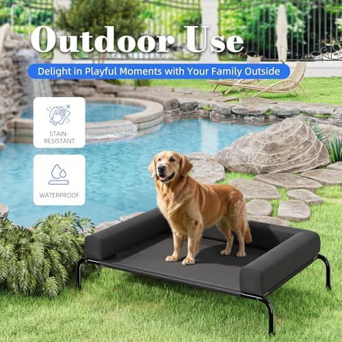 Simple Trending Elevated Dog Bed for Large Dogs with Bolsters, Black