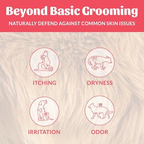 SKOUT'S HONOR Probiotic Dog Deodorizing Spray - Sunkissed Coconut, 8 oz