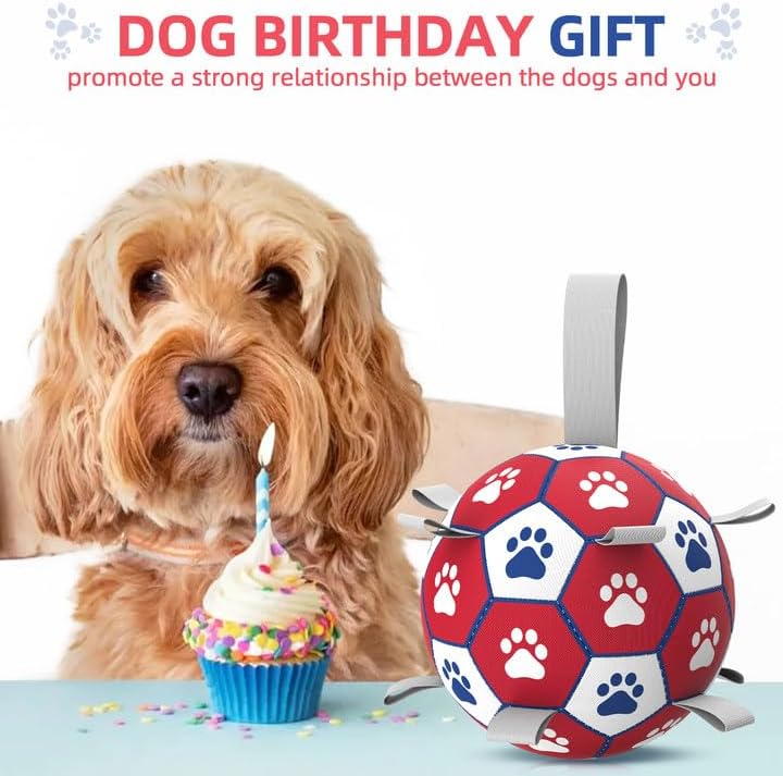 Diman Dog Balls,6 Inch Balls for Dogs with Straps, Dog Soccer Ball, Red | Dog Toy Balls for Small Medium Dogs, Outdoor Dog Toys, Dog Pool Water Toys,Puppy Toys to Keep Them Busy, Puppy Birthday Gifts