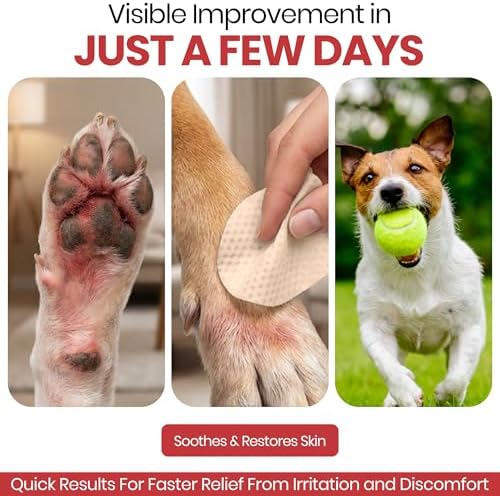 Dog Paw Wipes Antibacterial 50 Count - Antifungal Wipes for Dogs