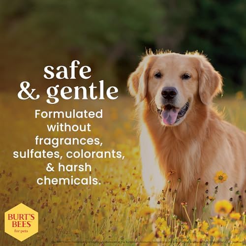 Burts Bees for Pets Oatmeal Dog Shampoo with Honey, Unscented, 16 Fl Oz | Soothing colloidal oat flour formula for itchy, sensitive dog skin, pH-balanced and sulfate-free for regular use
