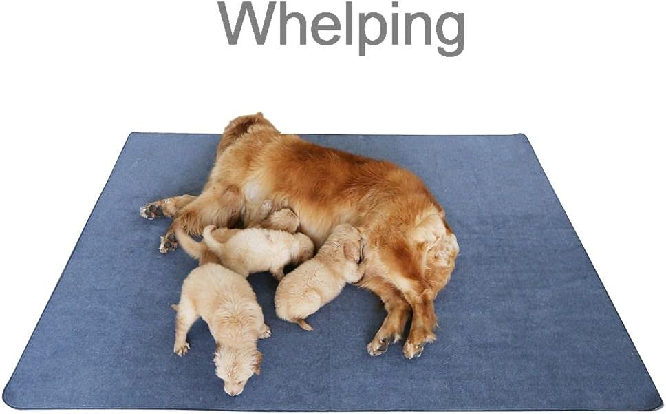Peepeego Non-Slip Dog Pad 72"x72", Washable Pee Pad Waterproof for Training, Whelping