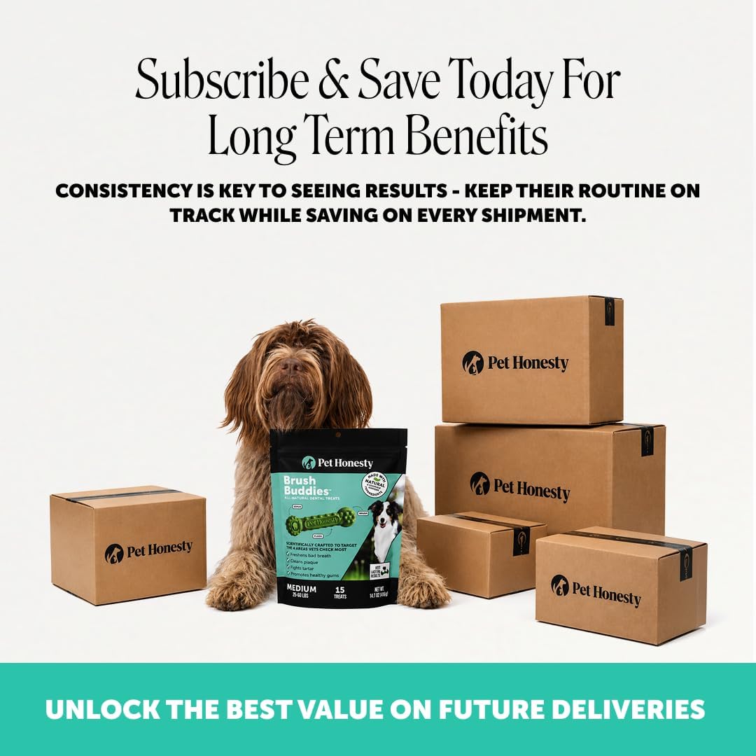 Pet Honesty Brush Buddies Vet Backed Dog Dental Chews, 15 Count | Award winning dog teeth cleaning chews for dogs 25-50 lbs, last 2x longer, no cellulose fillers, reduce plaque & tartar