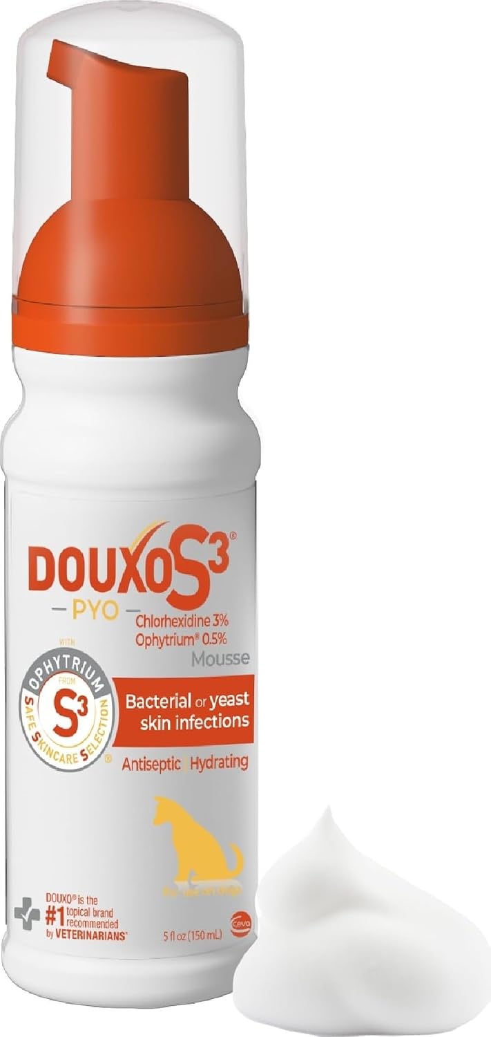 Douxo S3 PYO Medicated Dog Mousse - Bacterial & Yeast Infection Treatment | Chlorhexidine for Dogs; Waterless Shampoo, Antibacterial & Antiseptic, for Dogs Only, Clinically Proven, 5 fl oz