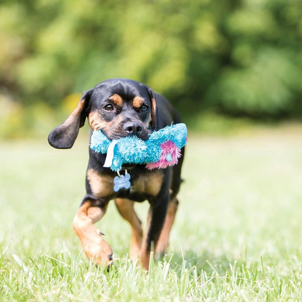 Kong Cozie Ali Alligator Plush Dog Toy, for Medium Dogs | Soft Indoor Cuddle Plush Toy with a Squeaker & Minimal Stuffing, Great for Snuggling & Gentle Indoor Play