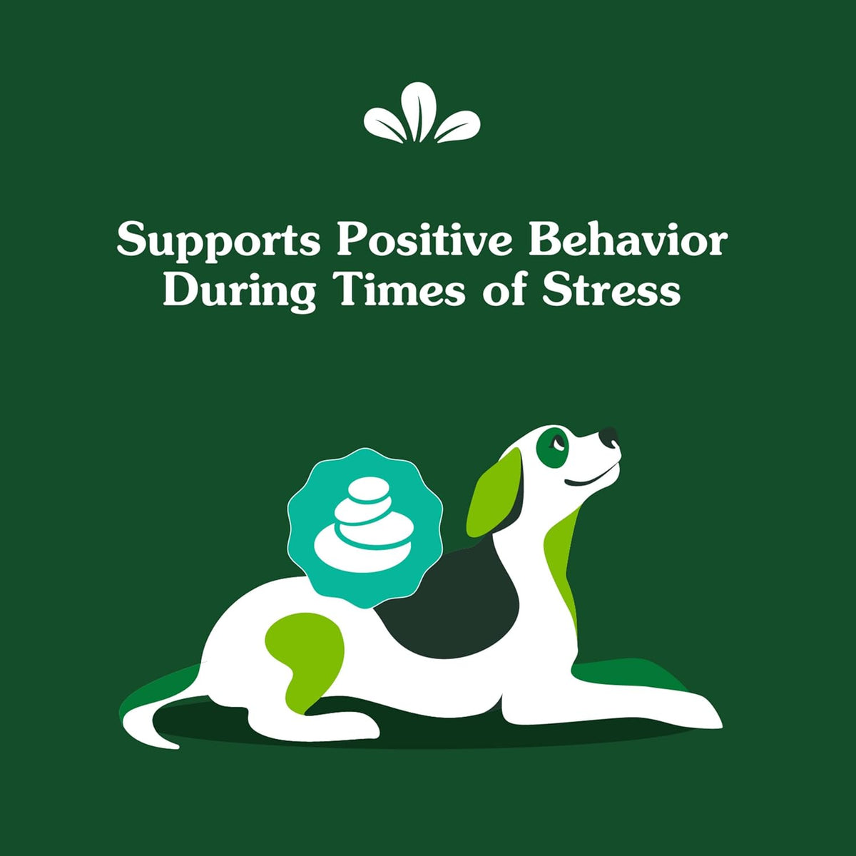 Greenies Supplements Calming Chews for Dogs, Chicken Flavor, 40 Count | L-Tryptophan & L-Theanine, supports positive behavior, made in USA, NASC Quality Seal, real chicken, no fillers