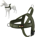 Plutus Pet No Pull Dog Harness for Medium Sized Dog, Breathable Mesh Padded