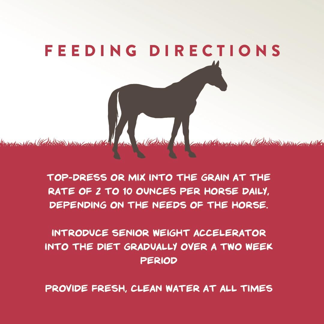 Manna Pro Weight Accelerator Horse Supplement, Meal Topper, Omega-3, 8 lb