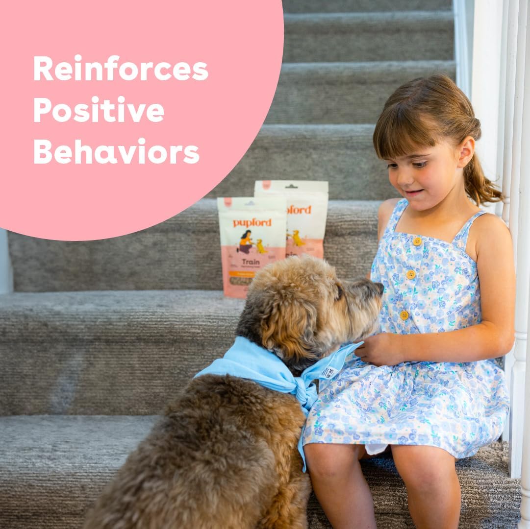 Pupford Soft & Chewy Training Treats for Dogs & Puppies (Chicken, 5 oz) | 250+ treats per bag, <2 kcals each, Only 7 ingredients, All breed sizes, Mess free and bite sized, Trainer recommended