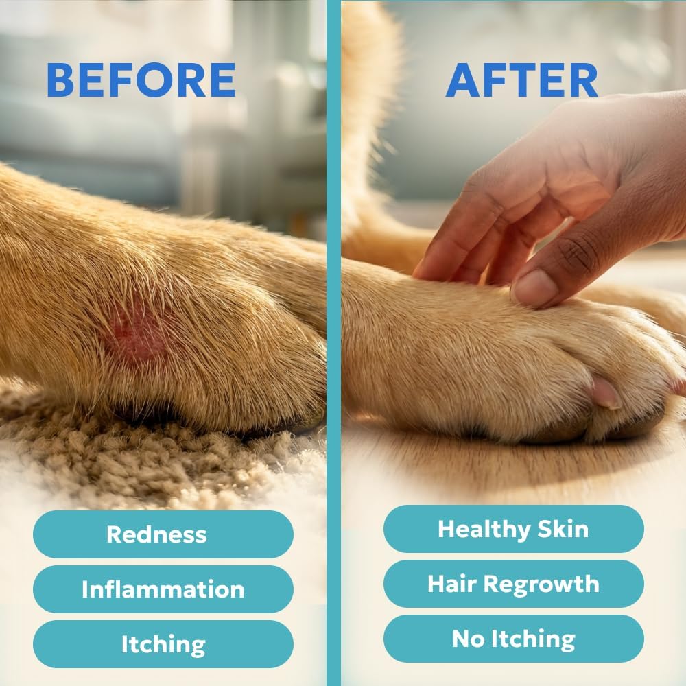 Forticept Blue Butter – Hot Spot Treatment for Dogs Cats | Dog Cat Wound Care | Skin Yeast Infections, Ringworm, Cuts, Rashes, First Aid Veterinary Strength Anti Itch Cream 4oz