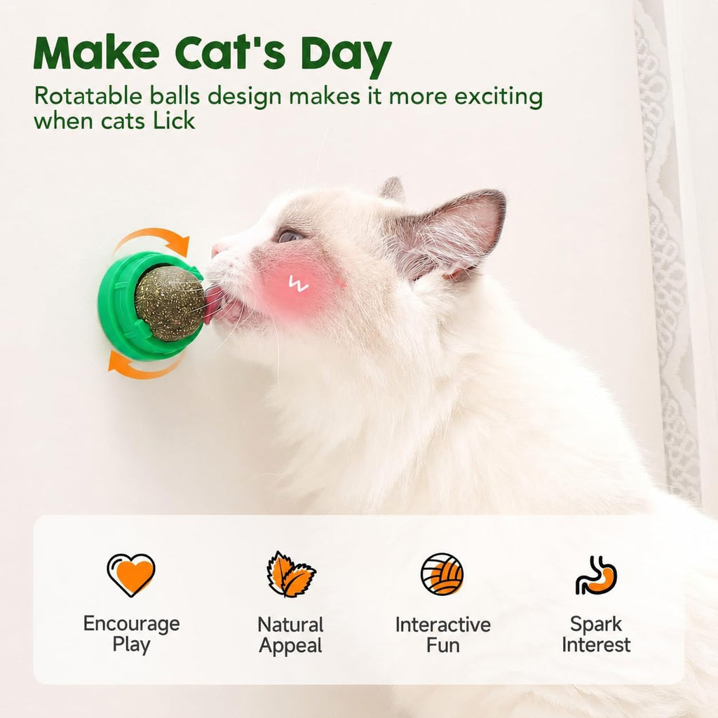 Potaroma Catnip Toys Balls 4 Pcs with Extra Cat Energy Ball
