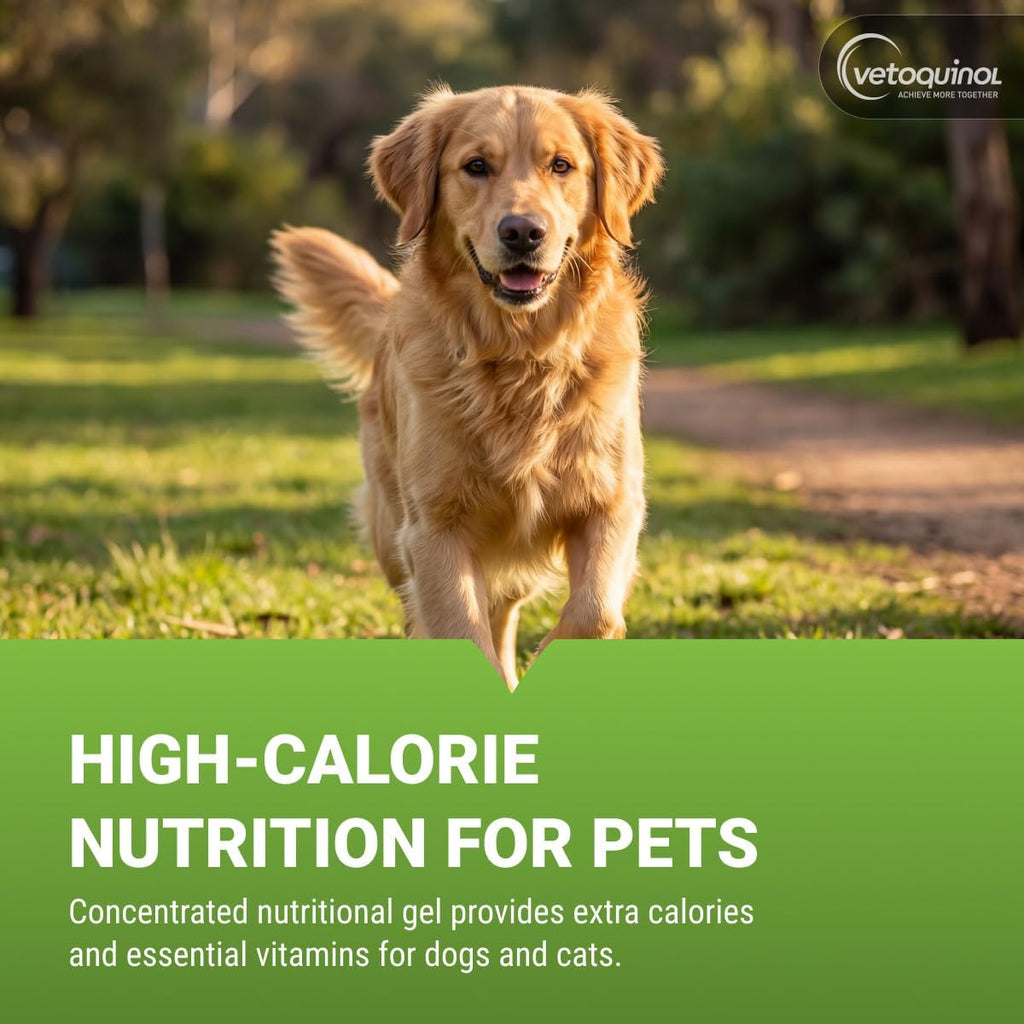 Vetoquinol Nutri-Cal - High-Calorie Nutritional Gel - Supports Daily Nutrition for Picky Eaters - Essential Nutrients & Vitamins for Cats & Dogs - Easy Feeding Oral Gel - 4.25 oz