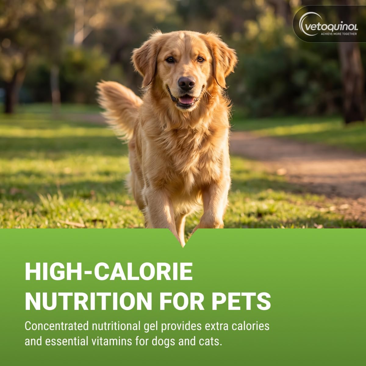Vetoquinol Nutri-Cal - High-Calorie Nutritional Gel - Supports Daily Nutrition for Picky Eaters - Essential Nutrients & Vitamins for Cats & Dogs - Easy Feeding Oral Gel - 4.25 oz