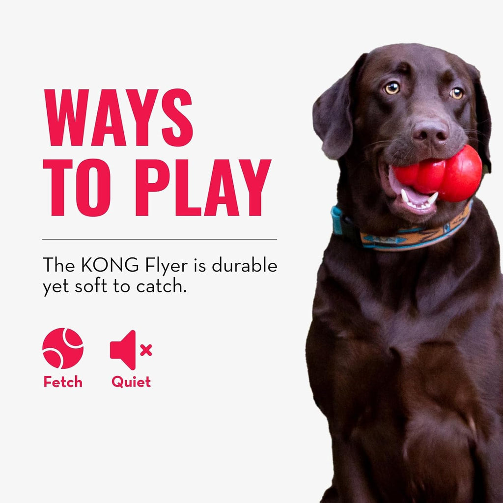 KONG Flyer, Natural Rubber Flying Disc Fetch Toy, for Medium/Large Dogs | Durable KONG Natural Rubber Flying Disc for Fetch, a Safer Disc for Healthy Outdoor Activity & Active Play
