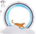 GTPLAYER Cat Wheels, 40" Diameter, Large Cat Exercise Wheel for Indoor Cats cat Treadmill Metal with Detachable Carpet & Teaser/Stickers, Ultra-Quiet Scroll Wheel with Latch, Safe and Stable, Grey