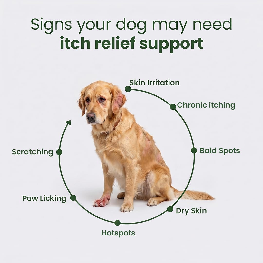 Itch Relief Chews for Dogs – Anti Itch Dog Allergy Relief | Borage Oil, Omega 3, Vitamin E | Dog Itching Skin Relief, Hot Spot Treatment, Seasonal Allergy Supplement | Soft Chews