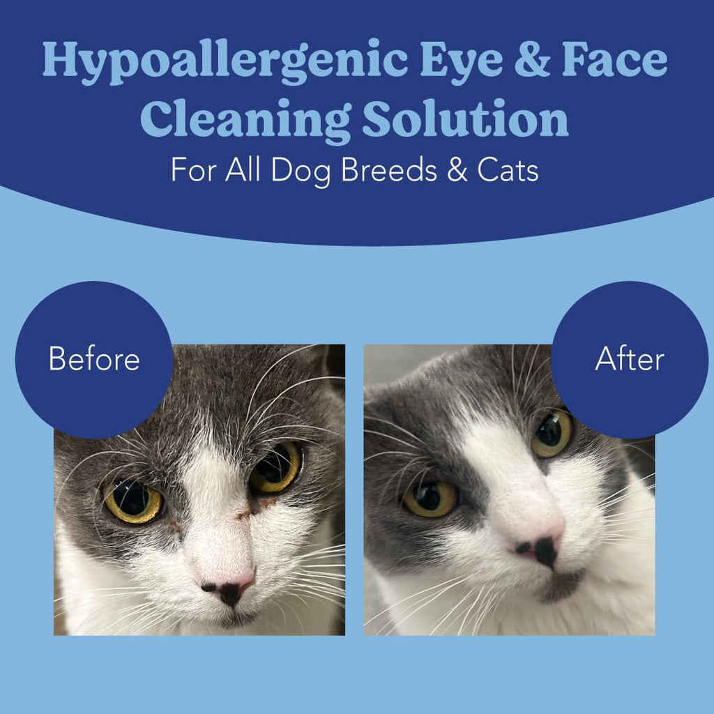 Angels' Eyes Dog & Cat Tear Stain Wipes | Eye Stain Remover Pads 100ct