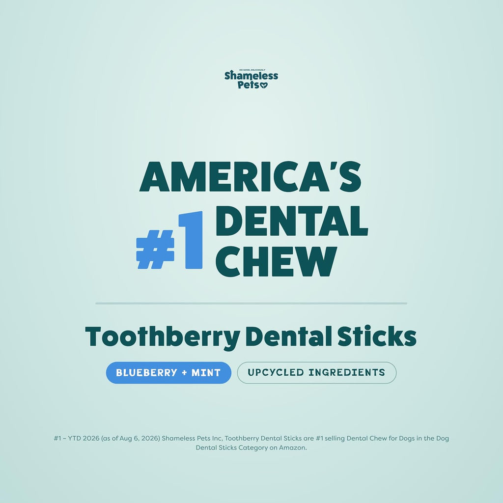 Shameless Pets Blueberry & Mint Dental Chews for Dogs, 8 Chews - Natural Dog Teeth Cleaning Treats with Fresh Breath Benefits | Grain-Free Dental Sticks for Small, Medium & Large Dogs