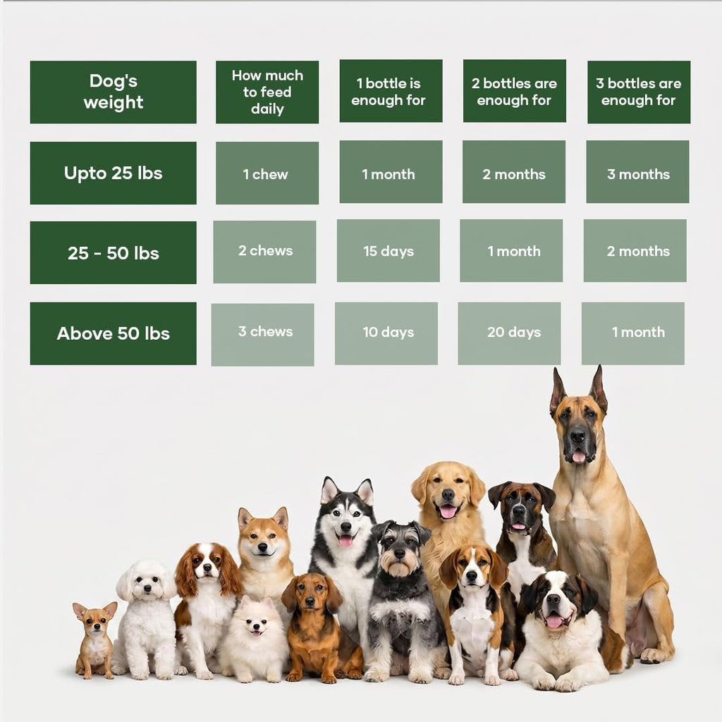 Itch Relief Chews for Dogs – Anti Itch Dog Allergy Relief | Borage Oil, Omega 3, Vitamin E | Dog Itching Skin Relief, Hot Spot Treatment, Seasonal Allergy Supplement | Soft Chews