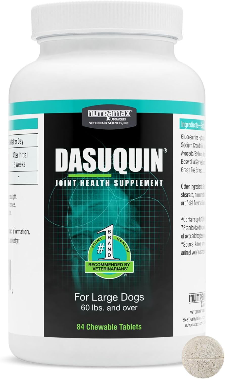 Nutramax Dasuquin MSM Joint Supplement, Large Dogs Chewable Tablets, 150ct | Glucosamine and Chondroitin, ASU, MSM, Supports Healthy Joints, For Dogs Over 60 lbs, All Ages, Chewable Tablets