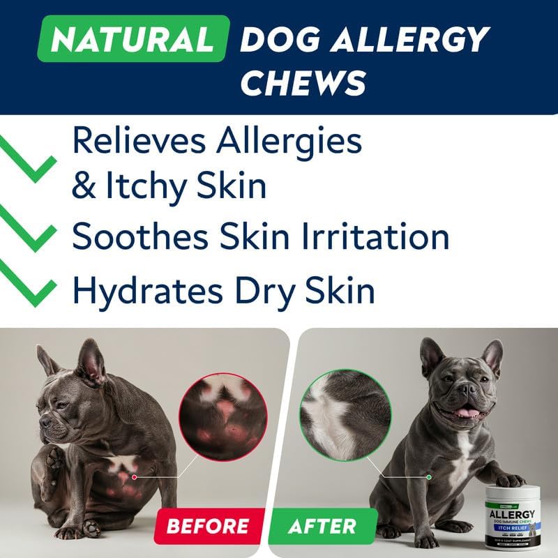 Dog Allergy & Itching Relief - Anti Itch, Skin&Coat Support Chews w/Omega 3 | Made in USA - Immune Supplements, Treats for Dogs Health w/Fish Oil for Irritated & Dry skin - Developed by Experts, 60 Ct