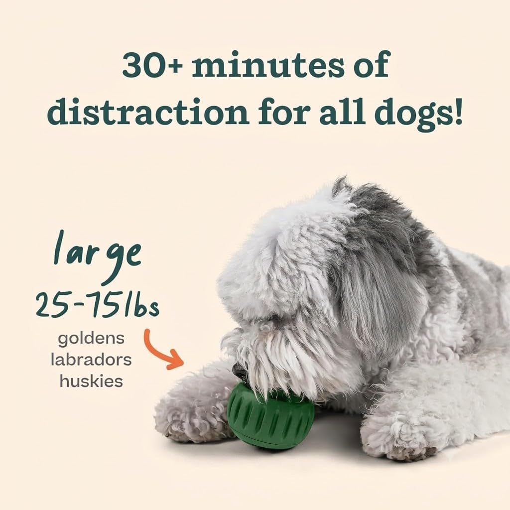WOOF Starter Pack Dog Treat Toy for Large Dogs 25-75 lbs | Long-lasting enrichment kit, Pupsicle toy included, reusable treat mold, chicken Pops, DIY frozen treats