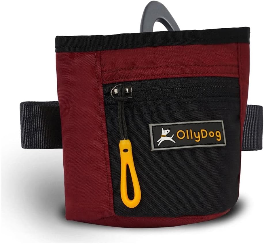OllyDog, Goodie Treat Bag, Dog Treat Training Pouch | Magnetic Closure | 3 Ways to Wear | Hands-Free Waist Belt | Water-Resistant Recycled Vegan Fabric (Raven S'25)