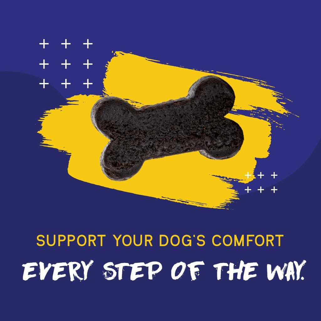 PupGrade Joint Support for Dogs, Beef Flavor - 60 Soft Chews | Glucosamine + Chondroitin with MSM and Perna - Supports Normal Hip & Joint Health for Occasional Discomfort