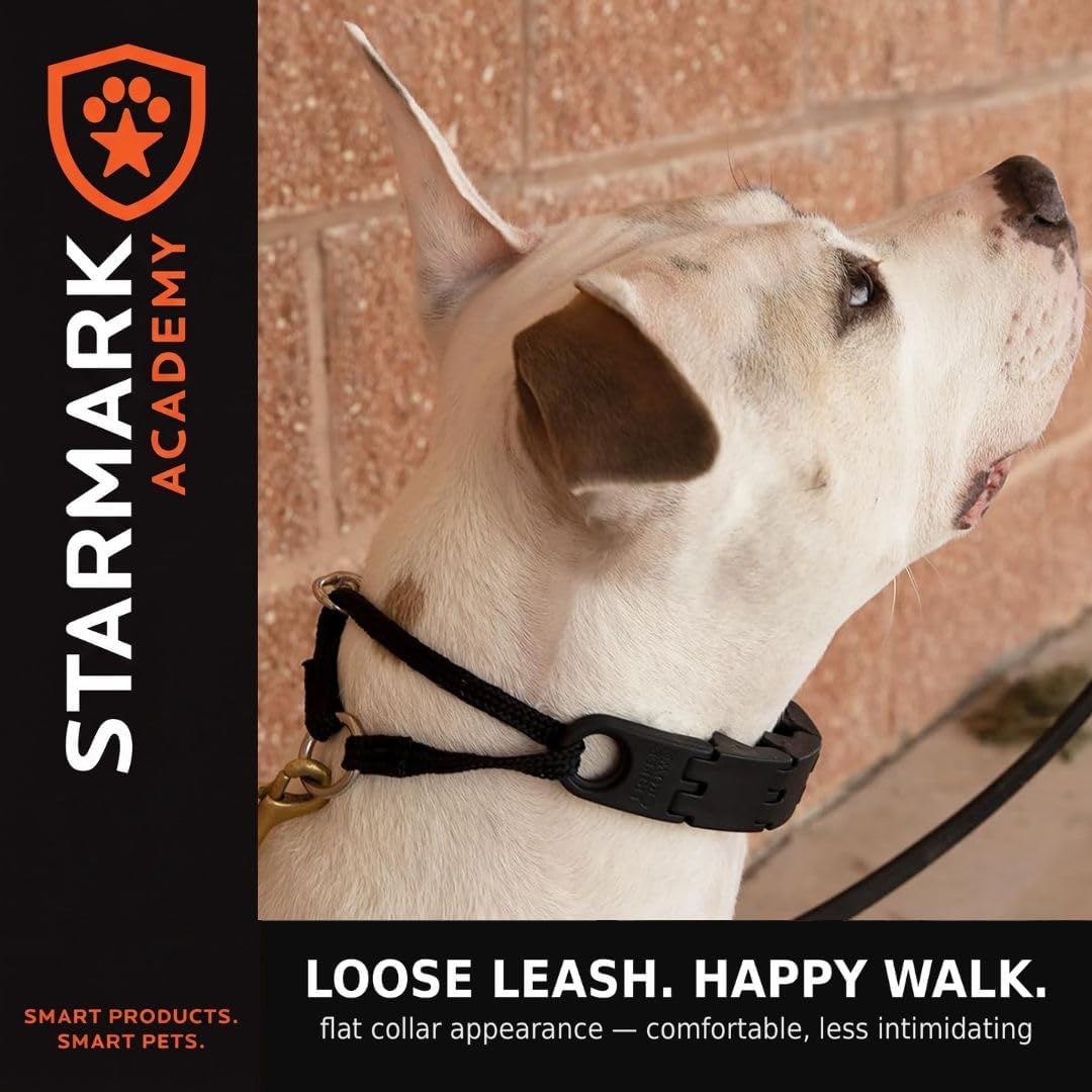 Starmark Pro-Training Dog Collar Large