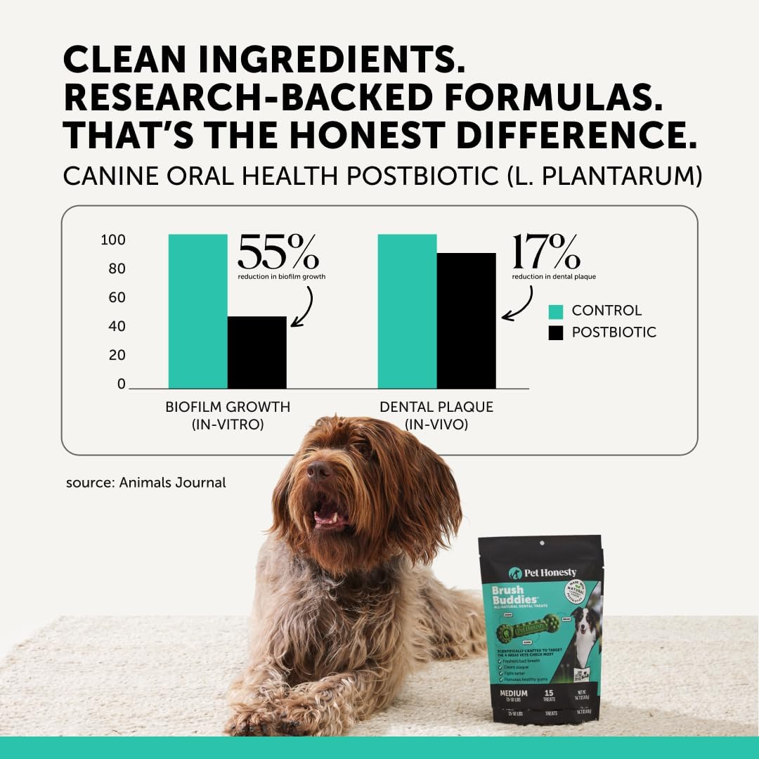 Pet Honesty Brush Buddies Vet Backed Dog Dental Chews, 15 Count | Award winning dog teeth cleaning chews for dogs 25-50 lbs, last 2x longer, no cellulose fillers, reduce plaque & tartar