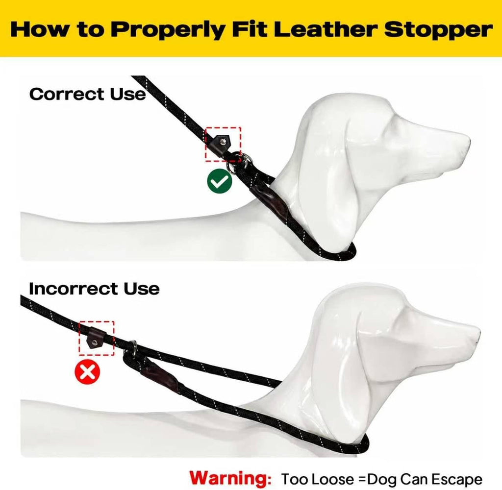 Fida Durable Slip Lead Dog Leash, 6 FT x 1/2" Dog Training Leash, Black | For Large Medium Dogs, Comfortable Heavy Duty Rope Slip Leash, Highly Reflective for Night Safety, No Pull Pet Loop Leash